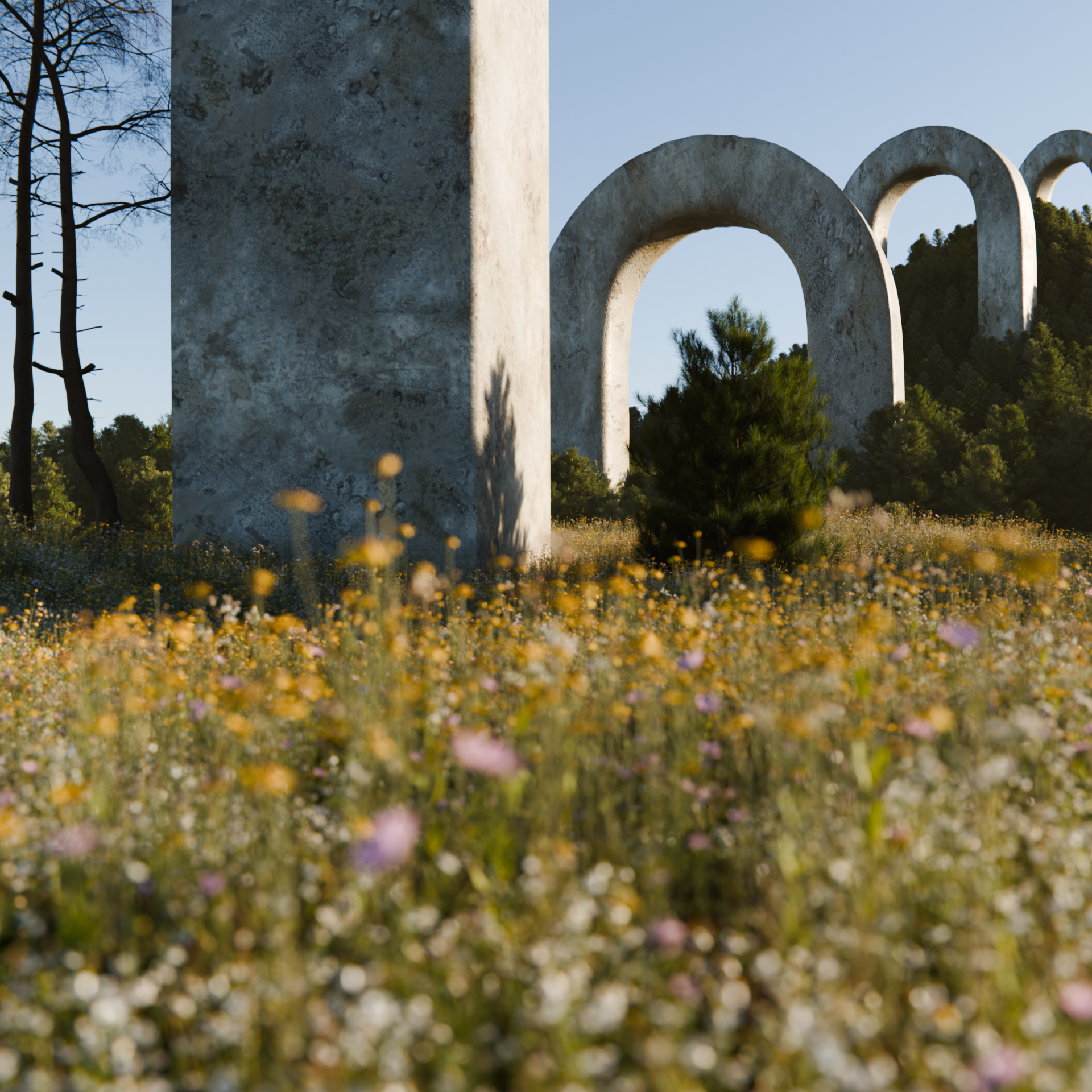 3d image